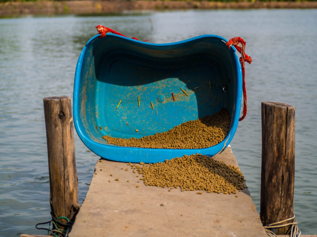 Ensuring Fish Feed Safety in Aquaculture: A Comprehensive Guide